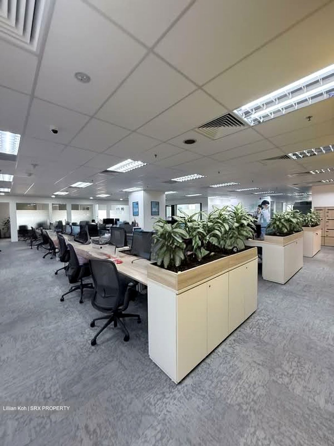 Lippo Centre (D2), Office #576175151